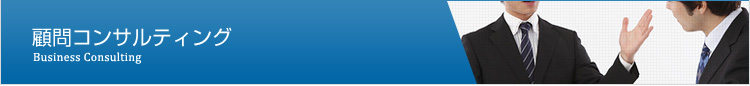 顧問コンサルティング